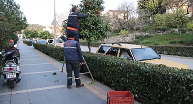 Marmaris Belediyesi'nden turuncu dağıtım