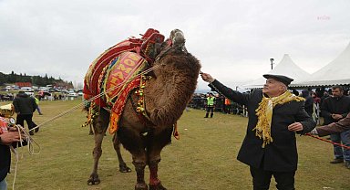Torbalı Belediyesi 15. Geleneksel Deve Güreşi Festivali'ne ev sahipliği yapacak