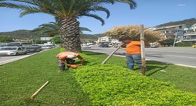 Yeşil Marmaris'e büyük katkı