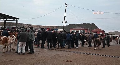 Yozgat'ta canlı hayvan pazarları tedbir amaçlı yarından itibaren kapatılıyor
