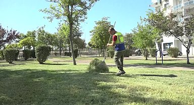Bornova'da parklara yeni bitkiler dikiliyor