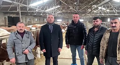 Çorumlu süt üreticisi: "Hep zarar hep zarar... Belki şu hayvanları kesime göndereceğim"
