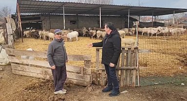 Edirneli küçükbaş hayvan üreticisi: "Aldığım destek koyunların aşı parasına yetmiyor"