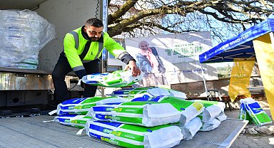 İzmir Büyükşehir'den zeytin üreticisine bordo bulamacı desteği