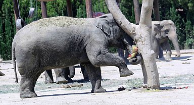 İzmir'de Doğal Yaşam Parkı'na pazartesi molası