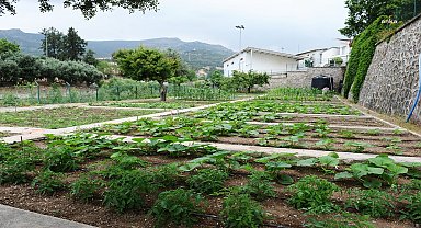  Karşıyaka'da bostanlar artıyor, kentsel tarım güçleniyor