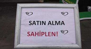 Marmaris Belediyesi, hayvan sahiplendirme ve bakımevi konusunda vatandaşları bilgilendiriyor