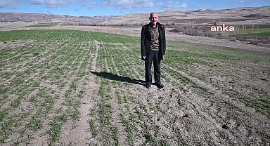 Yozgat'ta havaların sıcak gitmesine bağlı artan tarla faresi popülasyonu tarımsal üretimi tehdit ediyor