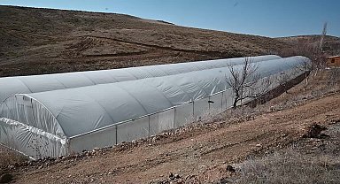 Yozgatlı çiftçi kurduğu serada 9 ay sebze üretip, aracısız pazara sunuyor