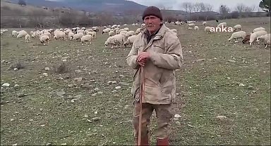Amasya Çambükü'nde hayvancılık yapan Hasan Dönmez, kurulmak istenen OSB'ye tepki gösterdi: "Derdimize çare bulamıyoruz"