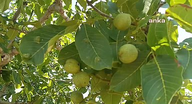 AYDINLI ÜRETİCİLER ''KAMULAŞTIRMA KARARININ'' İPTAL EDİLMESİNİ İSTEDİ