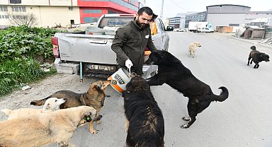 ESENYURT BELEDİYESİ, CAN DOSTLARI YALNIZ BIRAKMIYOR