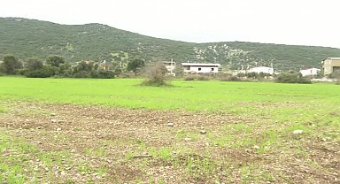 İZMİR BÜYÜKŞEHİR ÇİFTÇİ İÇİN ARAZİLERİNİ ÜRETİME KAZANDIRDI