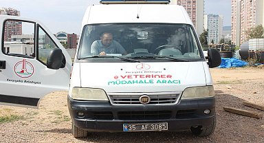 KARŞIYAKA BELEDİYESİ 5 YILDA ON BİNLERCE CAN DOSTA SAHİP ÇIKTI