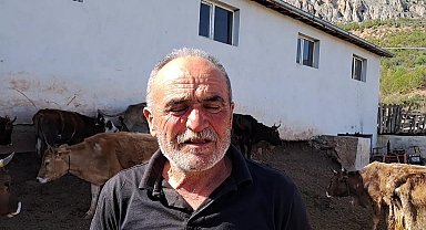 ARDANUÇLU BESİCİ: