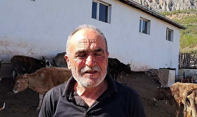 ARDANUÇLU BESİCİ: