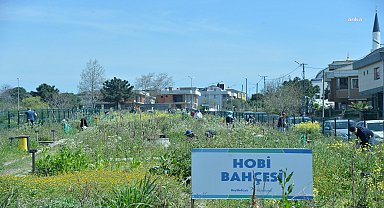 Beylikdüzü'nde hobi bahçeleri sahipleriyle buluştu