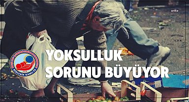 BİRLEŞİK KAMU İŞ KONFEDERASYONU: