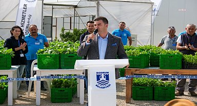 Bodrum Belediyesi'nin yerli fideleri üreticiyle buluştu