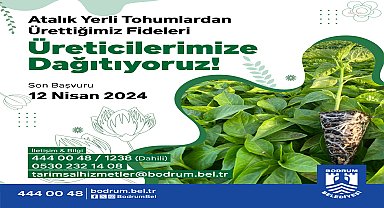 Bodrum'da üreticiye yerli fidan dağıtımı için son başvuru 12 Nisan
