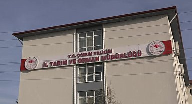 Çorum'da yüzde 50 hibeli dağıtılan nohutun kalitesinin düşük olmasına çiftçi tepki gösterdi