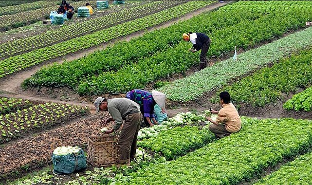 CUMHURBAŞKANLIĞI MEVSİMLİK TARIM İŞÇİLERİ İLE İLGİLİ GENELGE YAYIMLADI