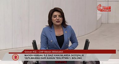 Gülcan Kış: "Ulusal çıkarlarımıza uygun, yerli ve gerçekçi bir enerji politikasına ihtiyacımız var"