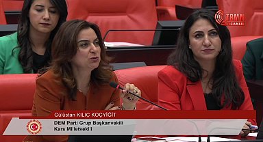 Gülüstan Koçyiğit: "Yarın İstanbul'da kimin burnu kanasa bunun sorumlusu Taksim'i yasaklayan hükümettir, İçişleri Bakanlığı'dır"