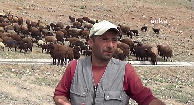 Iğdır'da havaların ısınmasıyla besiciler yaylalara gitmek için yola çıktı