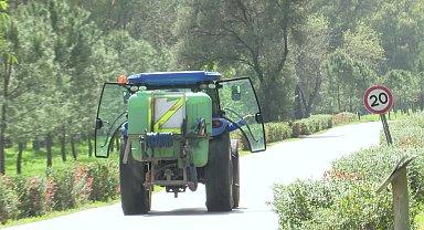 İzmir Büyükşehir Belediyesi ilaçlama çalışmalarına hız verdi
