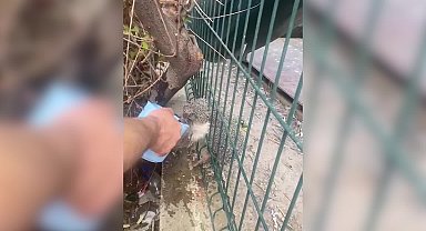 İzmir'de yürekleri ısıtan kurtarma