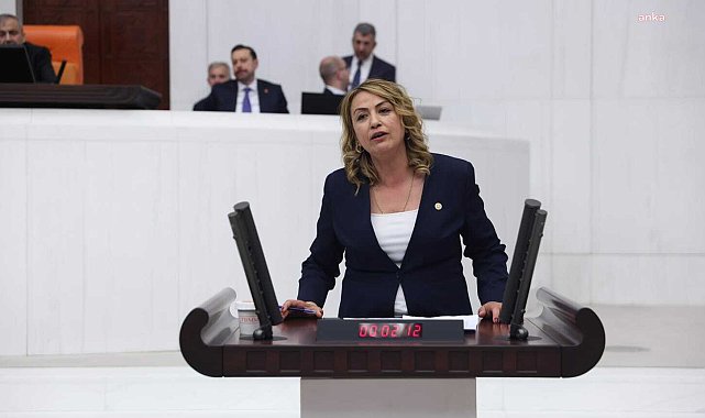 MALİ MÜŞAVİRLER VE MUHASEBECİLERİN TALEPLERİ... CHP'Lİ KARA: