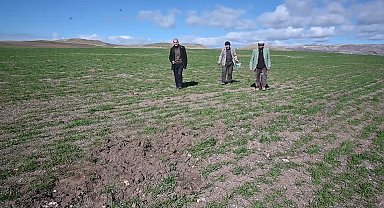 PROF. DR. YILMAZ: “BAZI TARIM İLAÇLARI, FARELERİ AVLAYAN, ONLARLA BESLENEN DİĞER CANLILARI YOK ETMİŞ, POPÜLASYONDA FARE DİNAMİĞİNİ ARTIRMIŞ”
