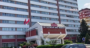 Rizeli çay üreticileri: "Yaş çay alım fiyatı 25 lira olmalı"