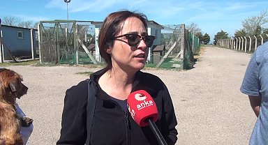 SİNOP SAHİPSİZ HAYVANLARI KORUMA VE YAŞATMA DERNEĞİ BAŞKAN YARDIMCISI KURU: