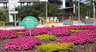 2 milyon yazlık çiçek, Antalya'yı süsleyecek