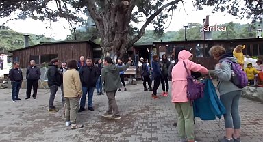 Anadolu Tıbbi ve Aromatik Bitkiler Derneği, Kazdağları'nda 'Bitki Hakları Manifestosu'nu açıkladı