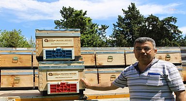 Antalya Büyükşehir Belediyesi’nin arı üreticilerine kovan desteği sürüyor
