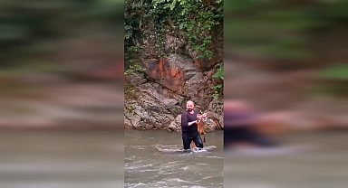 Artvin'de Çoruh Nehri'ne düşen karaca kurtarıldı
