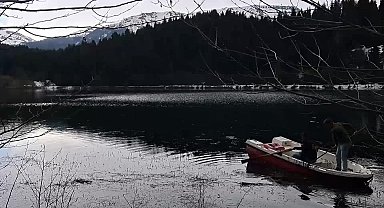 Artvin'in Şavşat ilçesi Karagöl bölgesindeki ağaç kesimine tepkiler sürüyor: "Sel ve heyelan endişesiyle yaşıyoruz"