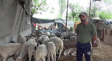 Aydınlı üretici: