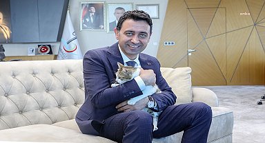 Bayraklı Belediye Başkanı Önal, yaralı kediye sahip çıktı