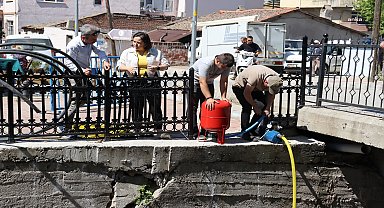 Bayramiç Belediyesi'nden çevreci adım