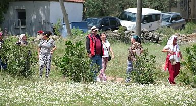 Bodrum Belediyesi'nin desteği ile düzenlenen "Canlar Şenliği"
