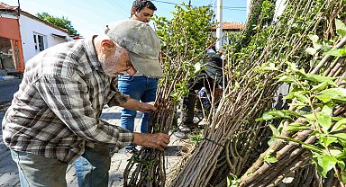Buca Belediyesi'nden üreticiye fidan desteği
