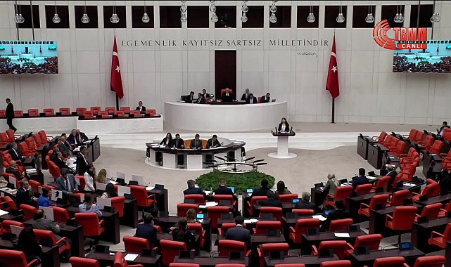 CHP Genel Başkan Yardımcısı Gökçe Gökçen: