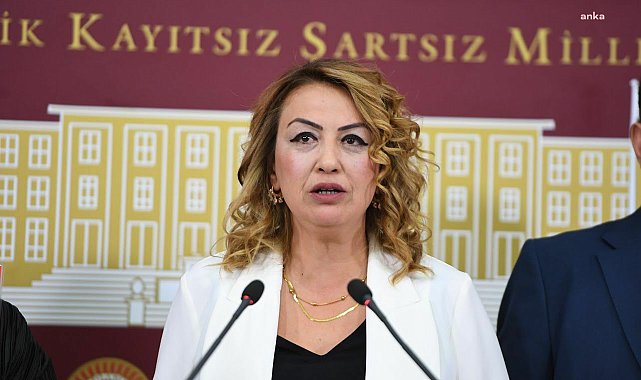 CHP'li Kara: