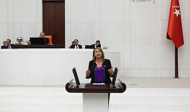 CHP'li Kara: