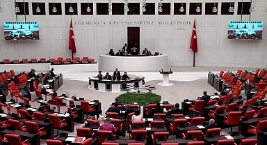 CHP'li Semra Dinçer: 