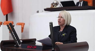  CHP’li Yontar, Çorlu’da yaşanan kirliliği Meclis gündemine taşıdı